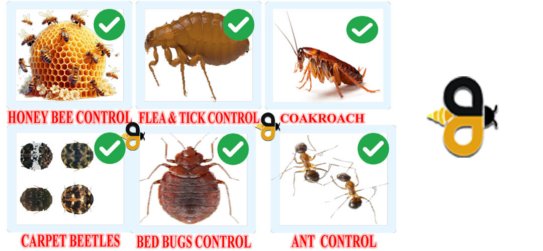 PEST CONTROL SERVICES