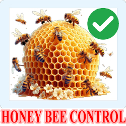 Flea & Tick Control Bangalore